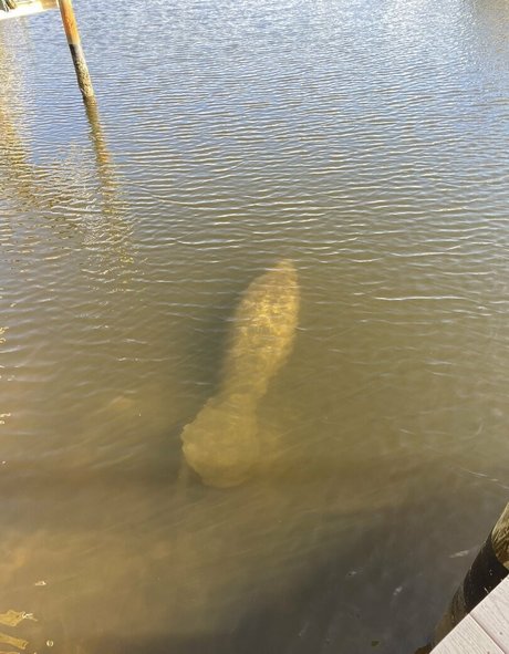 no jury erotic model gallery