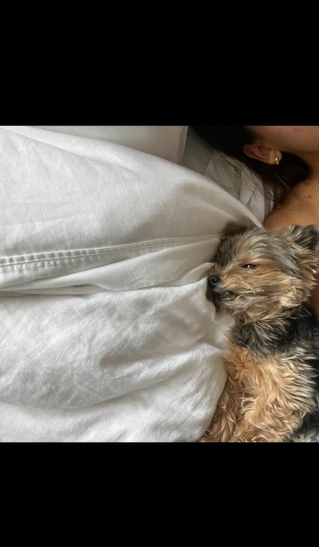 Izabella Alvarez pornstar art pic