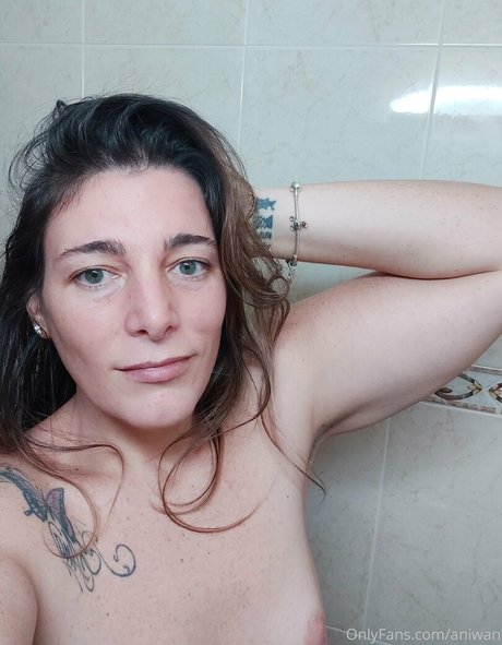 aniwan best model img