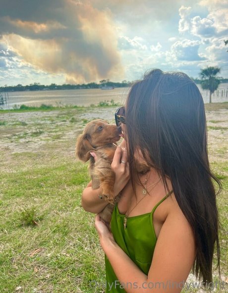 indywright top model galleries