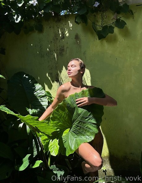 Christi Vovk hd model archive