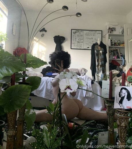 Heavensentmel exclusive star images