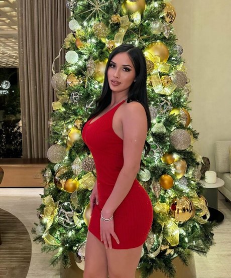 anissagodina best star archive