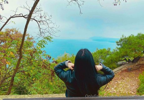 la alegriafree best star galleries