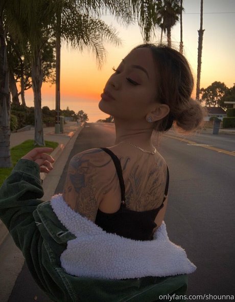 xs98x model art picture