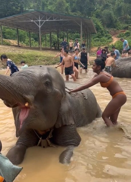 Venorika erotic pornstar image