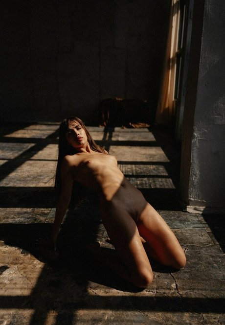 Nemmy Horin pornstar nude galleries