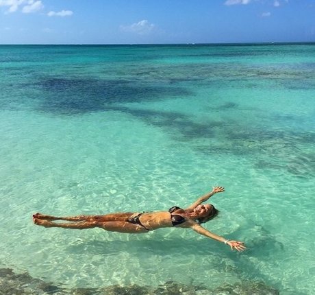 Christie Brinkley pornstar top pic