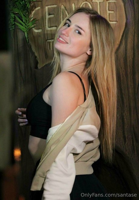 santase art star galleries