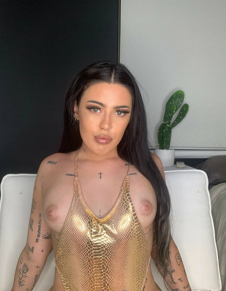 filthy lee star free photos