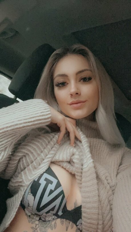 blondifree star hd galleries