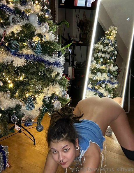 venus kittyxo star porn photos