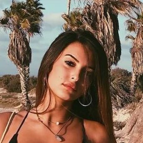 noam alon1 Profile pic