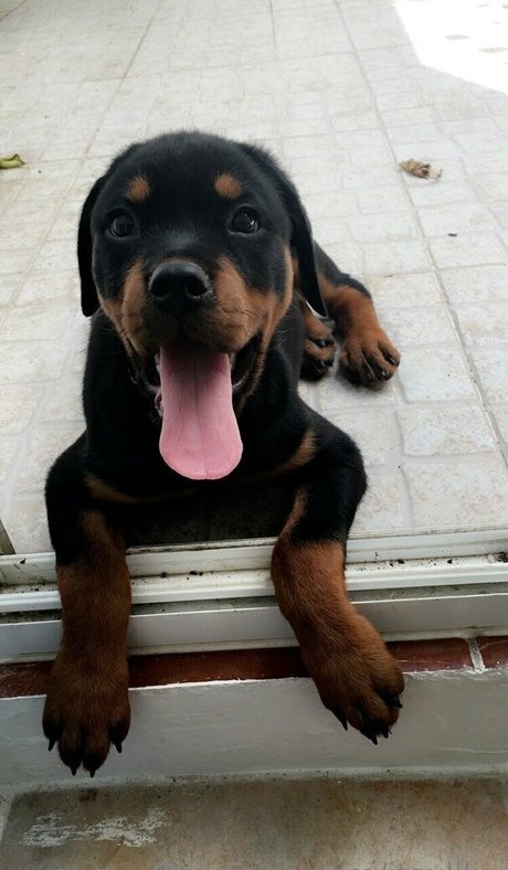 itsxlilix star sexy galleries