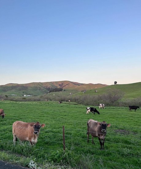 free onlyfans list free naked archive