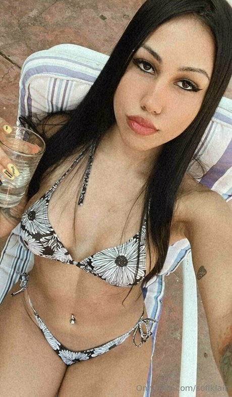 sofiklair art star galleries