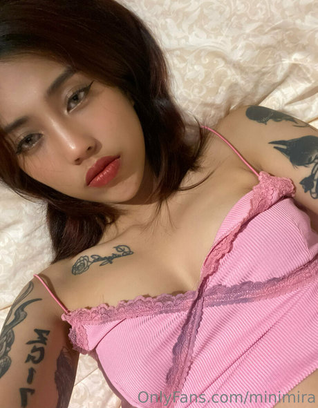 Minimiraa nice model img