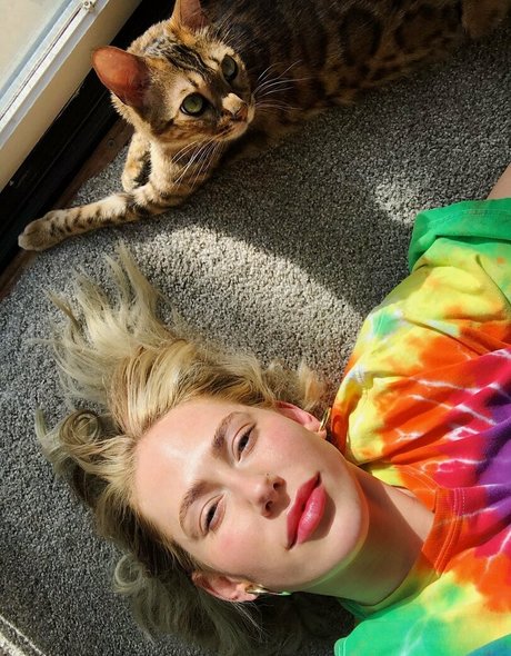 cartercruise star art pic