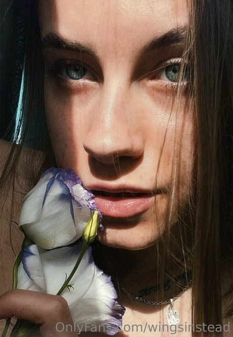 dollynextdoor model xxx gallery