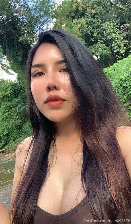 nam093178 nice star gallery