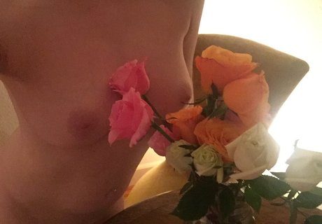 sunnylanefree pornstar adult pictures