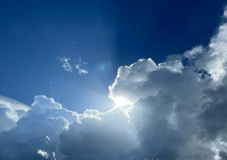 vanessaselene star beautiful galleries