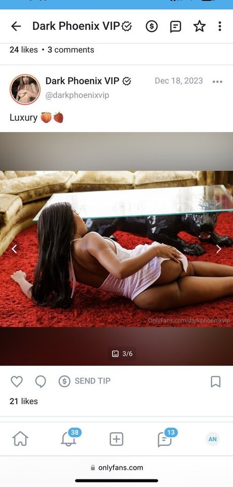 Dark Phoenix model art archive