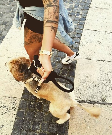 Alexandra Tokay perfect star gallery