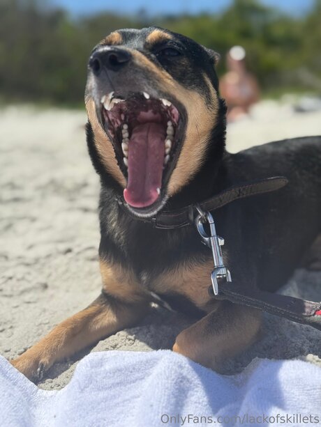 lackofskillets nudes star gallery