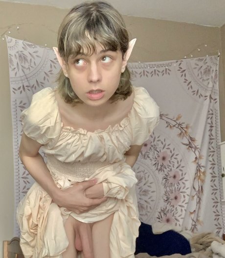 Cd Bell star exclusive archive