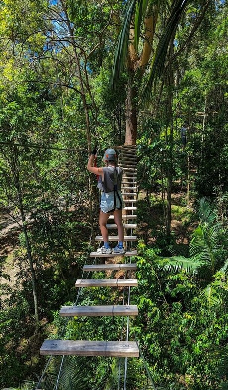 blissfulwhisperasmr nice star picture