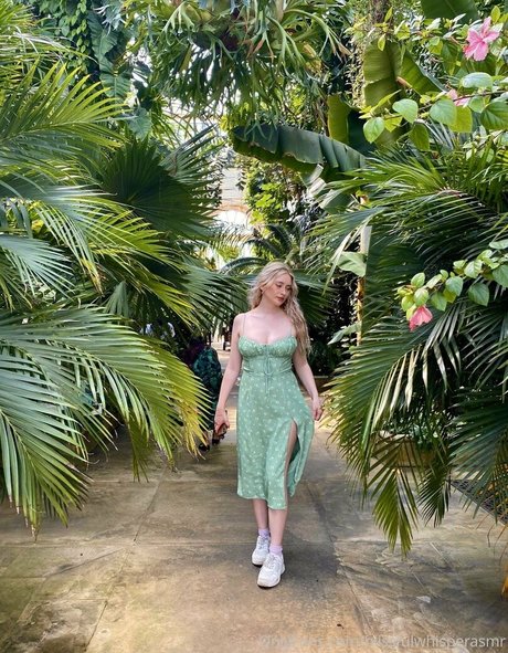 blissfulwhisperasmr pornstar top photo