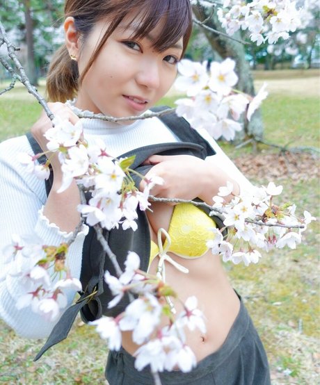 Natsuki Tanaka model top pictures