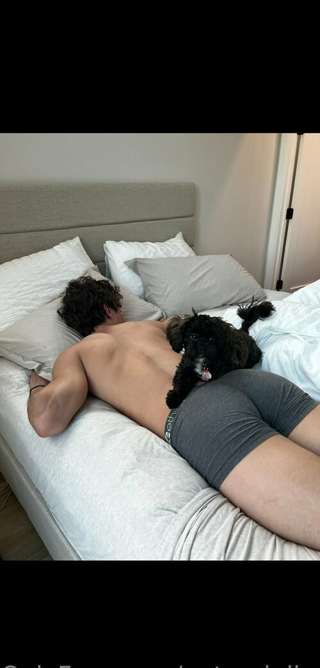 petervigilante erotic pornstar image