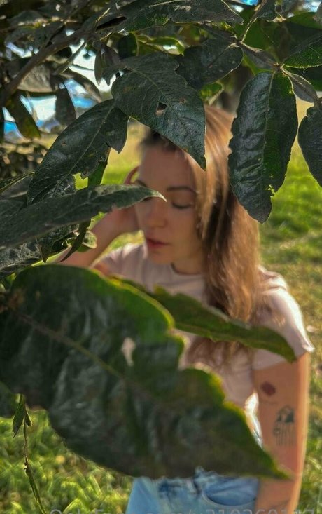 asa akiraa top pornstar galleries