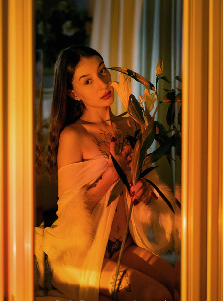 pppoisonnn ivy star art gallery