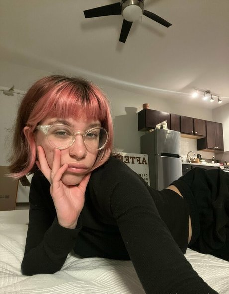 data night best star galleries