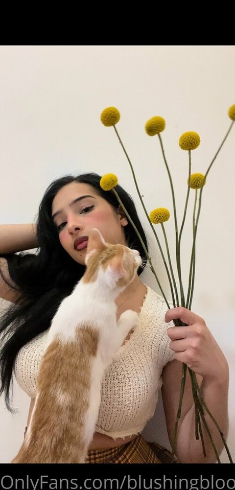 blushingblooms pornstar nudes galleries