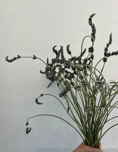 blushingblooms star art image