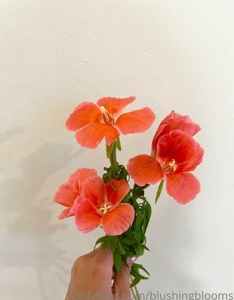 blushingblooms model pretty photo