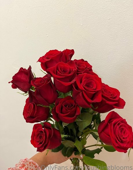 blushingblooms pornstar naked photos