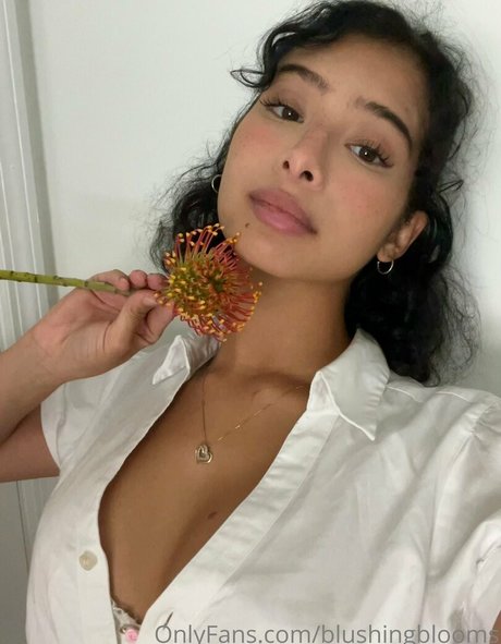 blushingblooms star art images