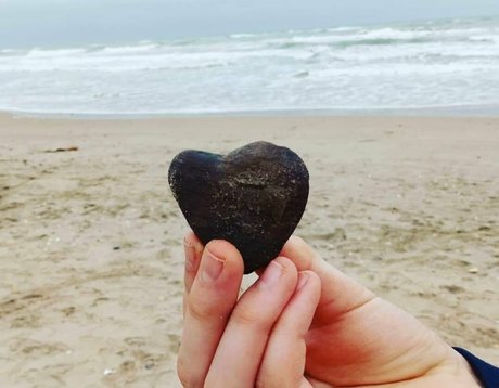 natuvic free perfect model picture