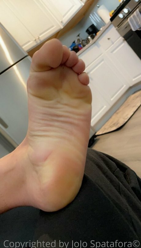 jojospataforafree star pornographic pictures