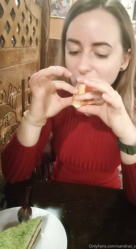 sandras s model art gallery