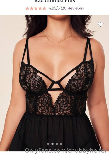 chubbyheifer star best image