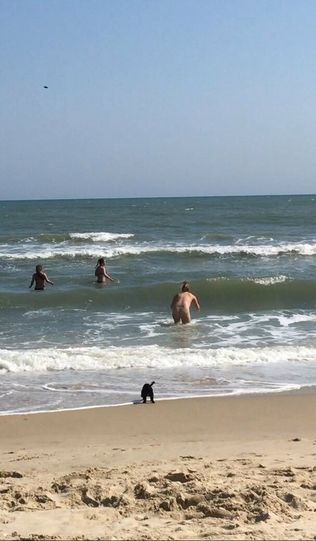 Amy Schumer pornstar nude images