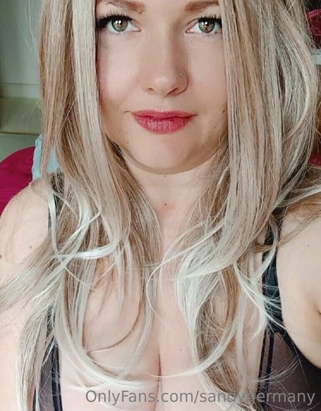 sandydoppeld star art galleries