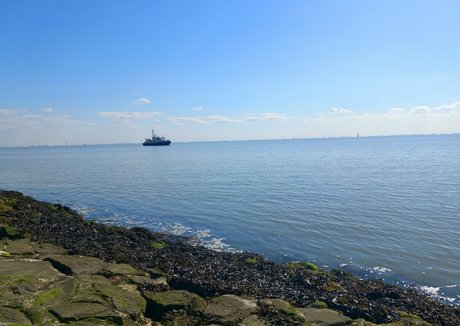 sandydoppeld beautiful star images