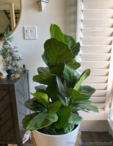 izzybutt xxx model photo